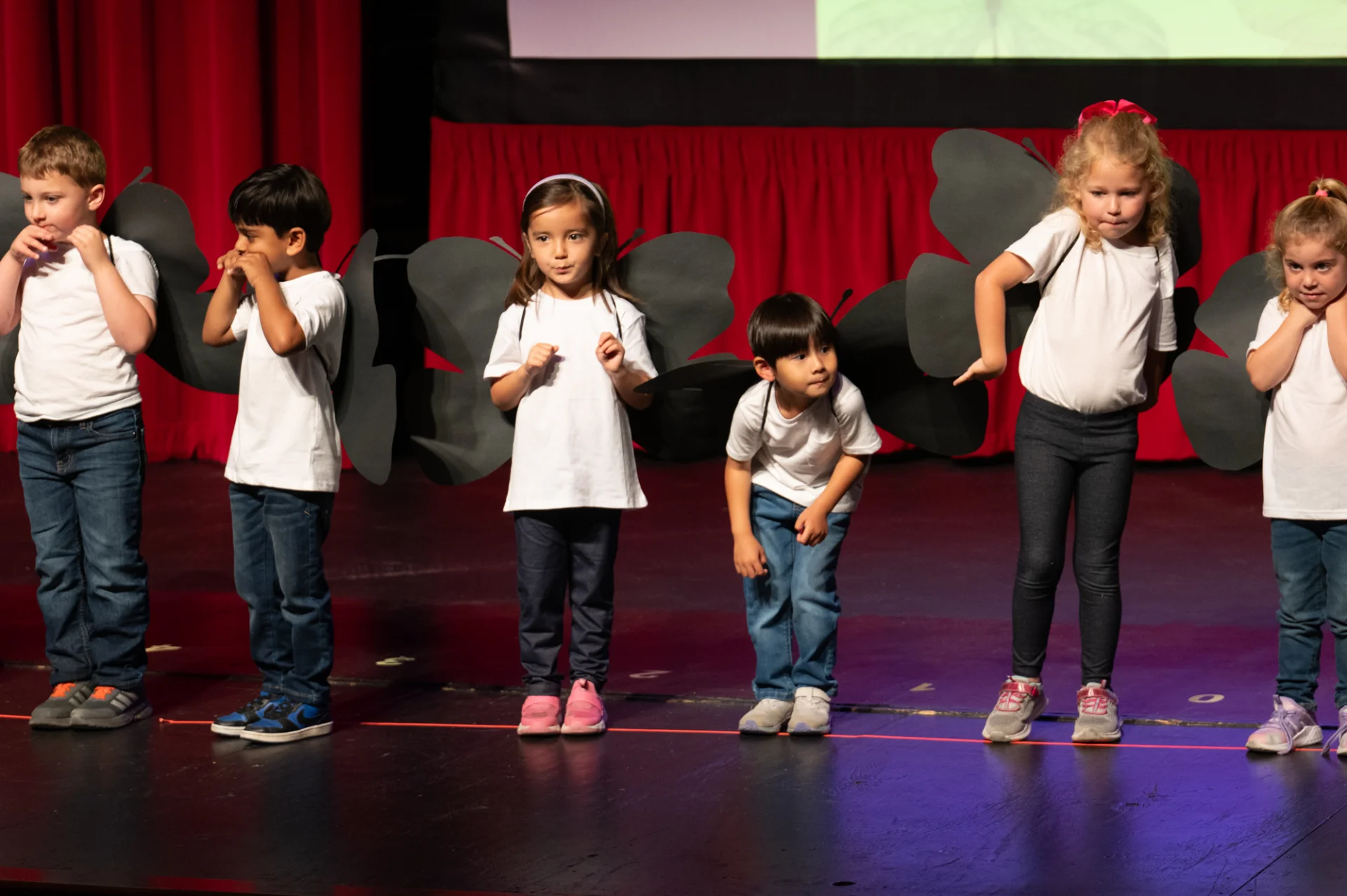 Butterfly 2026 40.webp